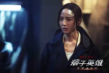 痞子英雄2即将上映
