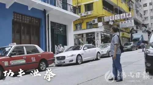 非遗文化央视再讲佛山文化,功夫洪拳年廿九起连播两天
