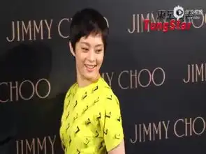 孙俪补拍英文版甄嬛传