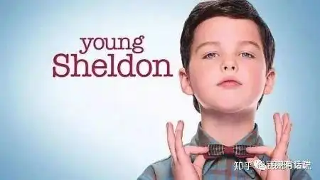 宁静如我,自在如风写在生活大爆炸最终季