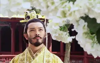 长孙皇后的姑奶奶,嫁给正史记载的大帅哥,老公和儿子都是宰相
