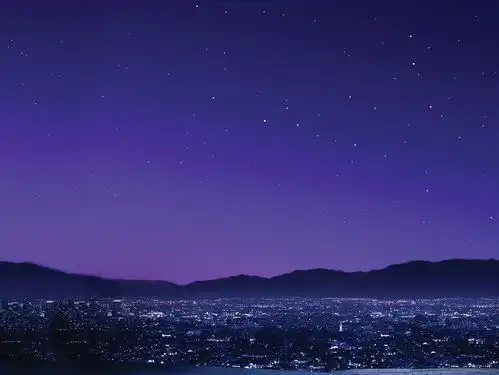 我的收藏
