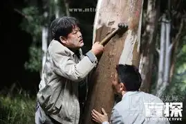 盲探悲喜两重天的局