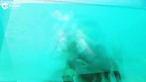 张雨绮调侃名字难辨认张姓女星分不清