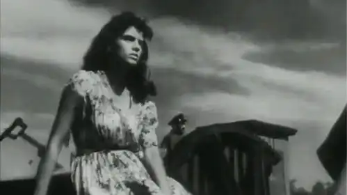 罗马尼亚电影多瑙河之波片段