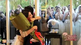 高圆圆黄海波高清剧照