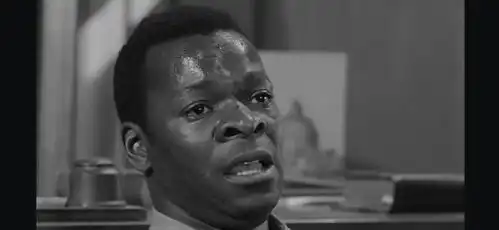 美国文学经典杀死一只知更鸟
