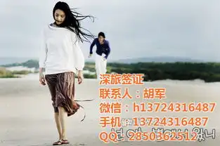 巴西签证快速办理深圳巴西签证快速办理深旅签证