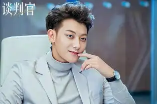 理智讨论演技渣的流量小生们到底适合什么角色