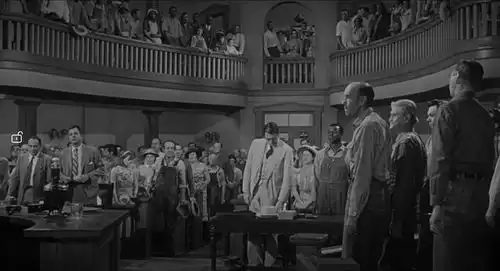 杀死一只知更鸟就是一桩罪恶
