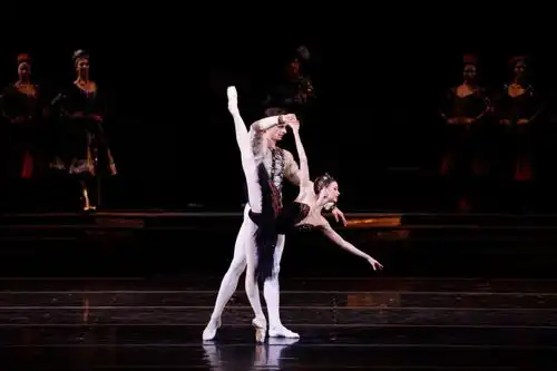 来了,2024深圳一带一路国际音乐季
