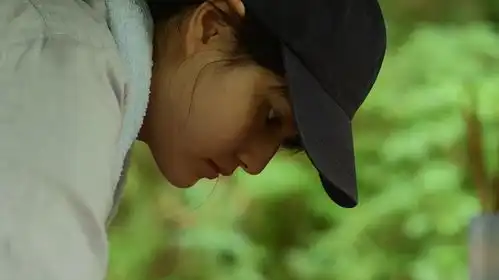 小森林夏秋篇

