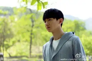 白敬亭想像小李一样从鲜肉蜕变
