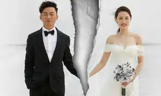 王宝强马蓉离婚,一方转移财产,另一方如何追回

