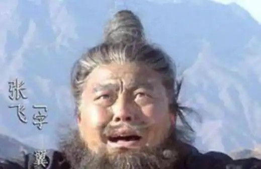 刘禅为何两次娶张飞的女儿做皇后,两个女儿会长得像张飞
