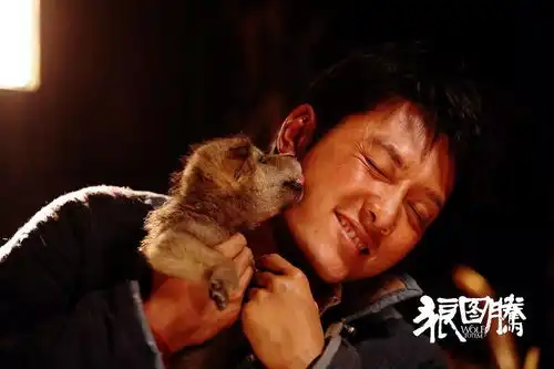 国产电影已成主流文化代表讲述更自信的中国故事