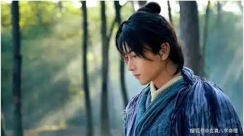 神雕后传杨过晚年儿女双全,郭芙为他生下阳顶天,程英生下杨逍