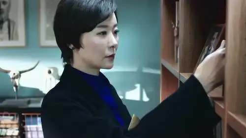 急诊科医生梅律师整理了一份资料,放在了何健一的家里