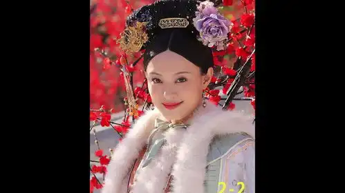 影视解说,甄嬛传,甄嬛传不止是一部电视剧了