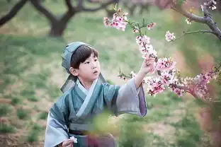 三生三世十里桃花小阿离
