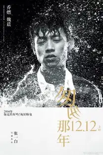 12.12匆匆那年刺痛版人物海报不痛堆糖,美好生活研究所

