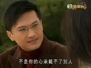 陈锦鸿剧照
