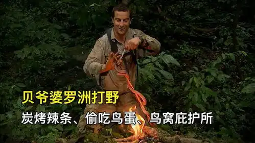 贝爷婆罗洲荒野求生,香喷喷炭烤辣条偷吃鸟蛋搭建鸟窝庇护所
