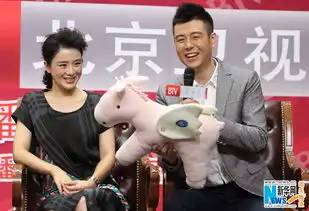 柳岩裹身裙现身宣传新剧调侃叶静看他戏长大的