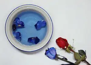 玫瑰花里的超级贵族蓝色妖姬,你知道它是怎么培育出来的
