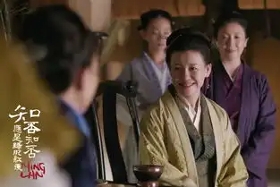 知否知否应是绿肥红瘦剧照
