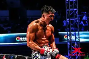 甜蜜暴击好看么讲述什么故事剧情打造格斗竞技运动电视剧