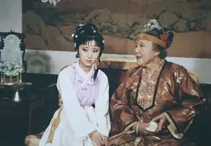 红楼梦中最暗地里护着林黛玉的谁