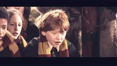 哈利波特飞在空中,用嘴叼住金色飞贼,赢得魁地奇比赛