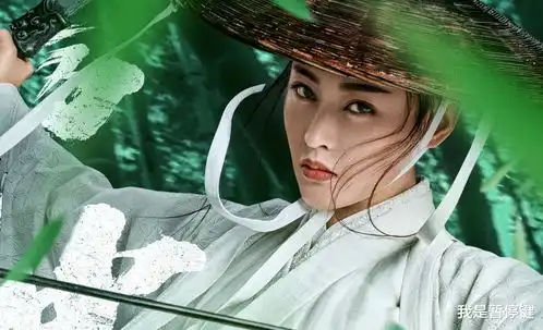 雪中悍刀行南宫仆射的故事