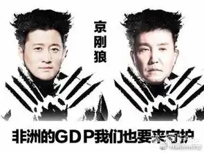 达康书记赵东加入战狼2网友去非洲抓丁义珍
