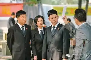 小眼暖男幽默断案,小镇大法官近期登陆央视一套