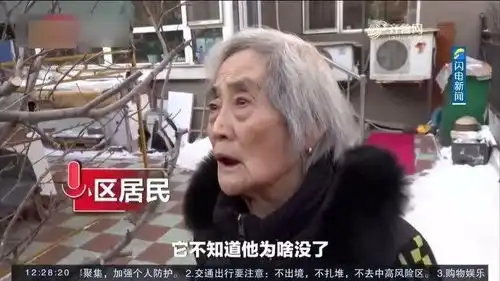 现实版忠犬八公老沈因病突然离世流浪狗大黄等了老沈5年