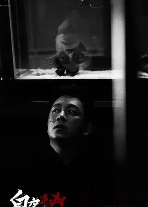 潘粤明被渣男多年,还是红了
