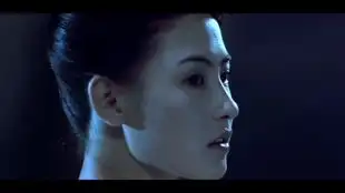 蜀山传i张柏芝i美人在皮亦在骨快进来截图哇
