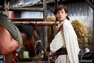 杨康像王自健穆念慈像杨颖,新版射雕评分是否虚高