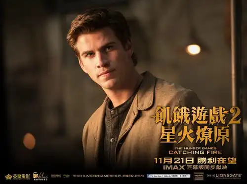 饥饿游戏2星火燎原
