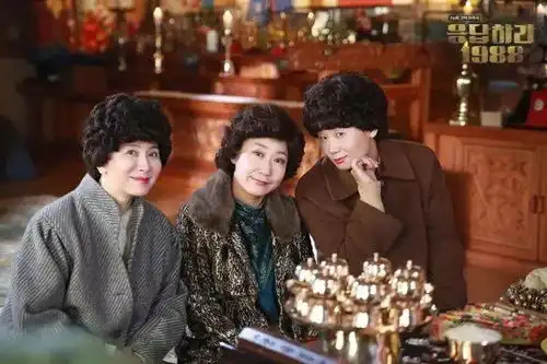 5年了,我还没从请回答1988里走出来
