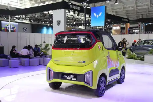 五菱nanoev疯狂动物城限定款
