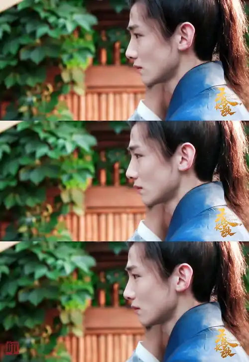 白鸽自截天盛长歌顾南衣剧照高马尾少年从书里走出来了