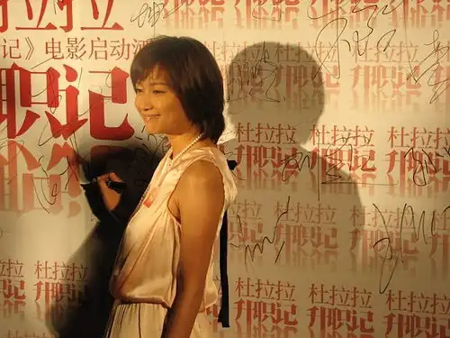 杜拉拉升职记必火的十大理由
