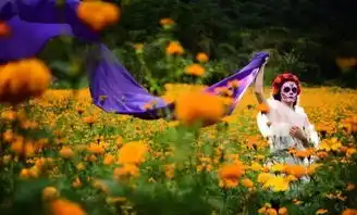 一朵有温度的小黄花寻梦环游记其实在说它
