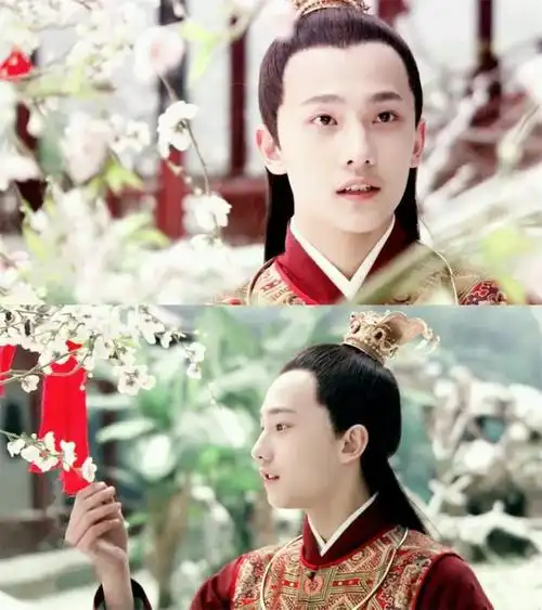 红楼梦,采朵雪莲花,读页红楼梦之四,宝玉的勇和弱
