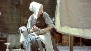 戴珍珠耳环的少女截图
