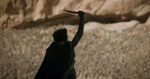 维伦纽瓦把沙丘系列搬上银幕是我年少时期的梦想