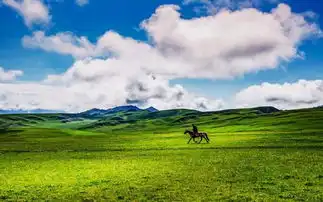 他们的飞驰人生,在巴音布鲁克草原上延伸